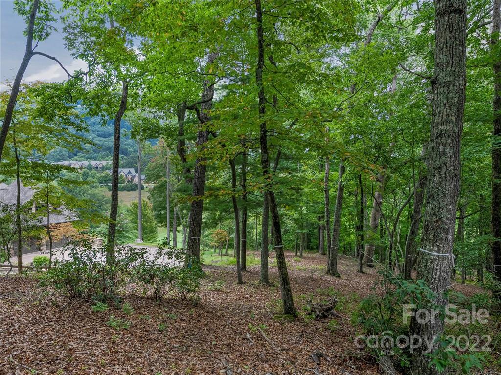 The Cliffs At Walnut Cove - Land