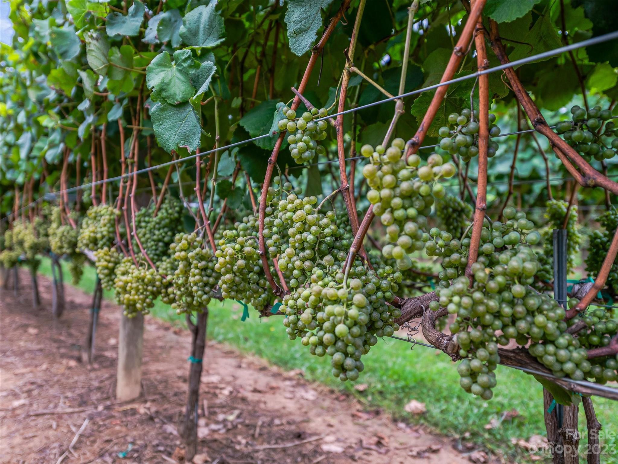 Chestnut Ridge - Residential