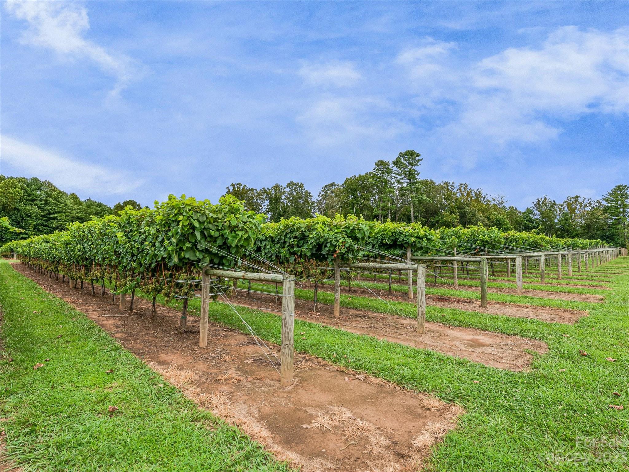 Chestnut Ridge - Residential