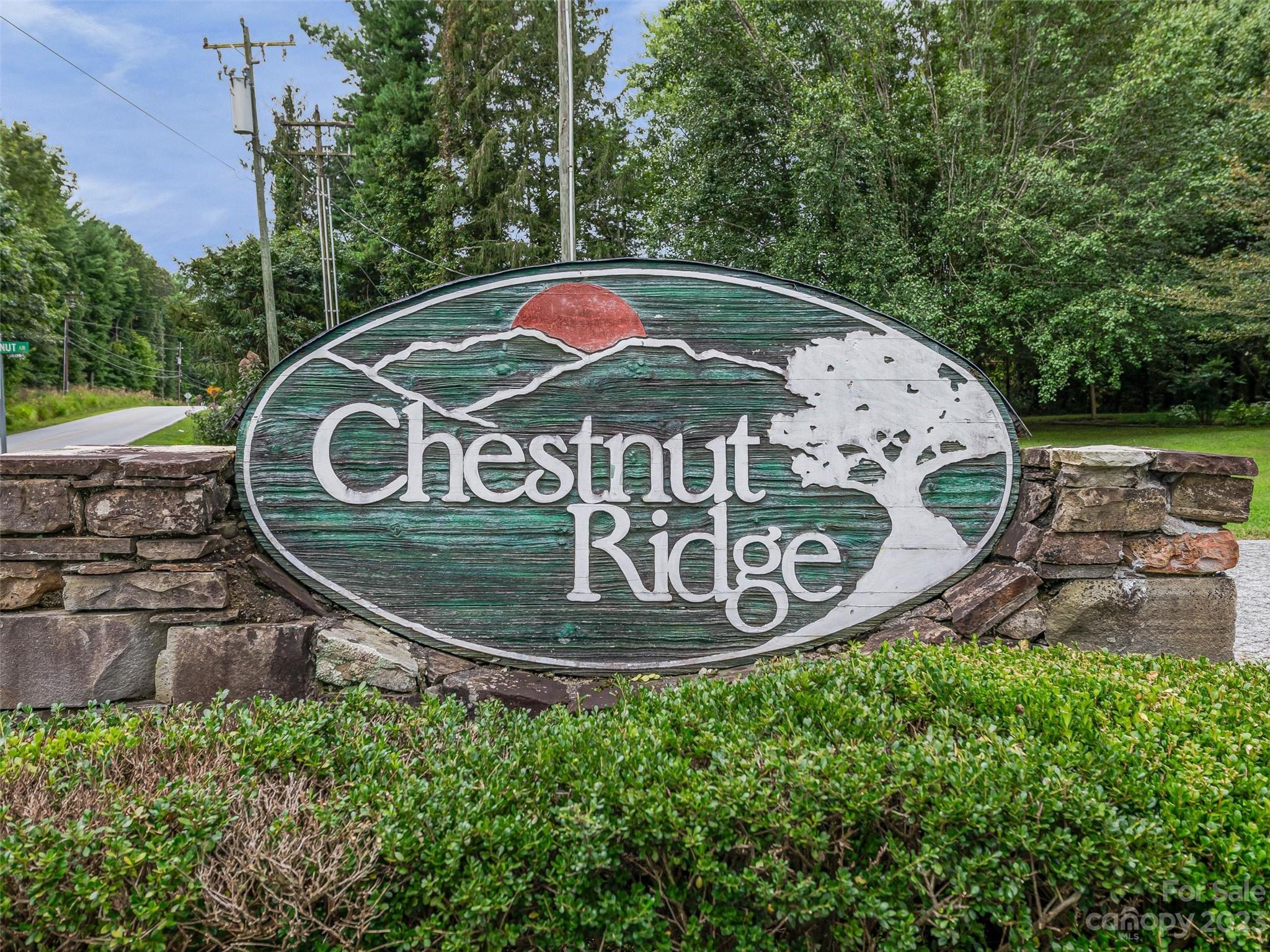 Chestnut Ridge - Residential