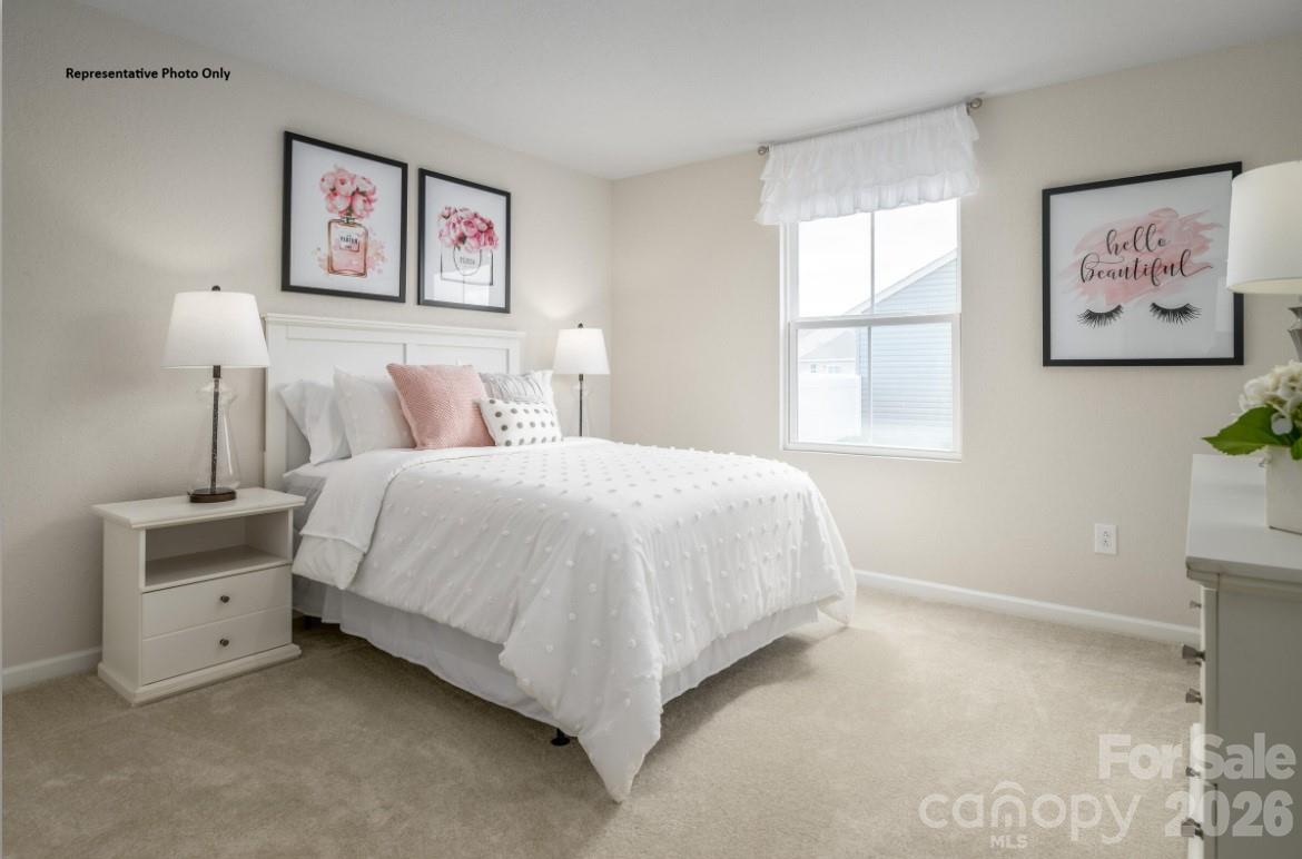 Laney Farms - Residential