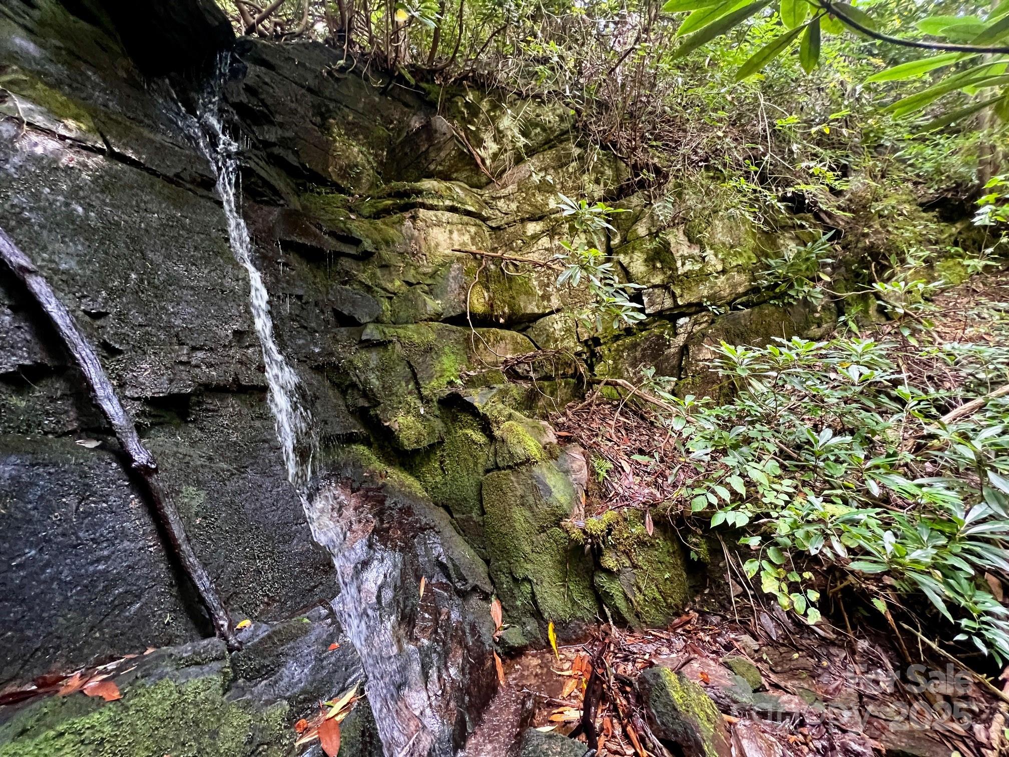 Lot 11 Silver Maple Trail