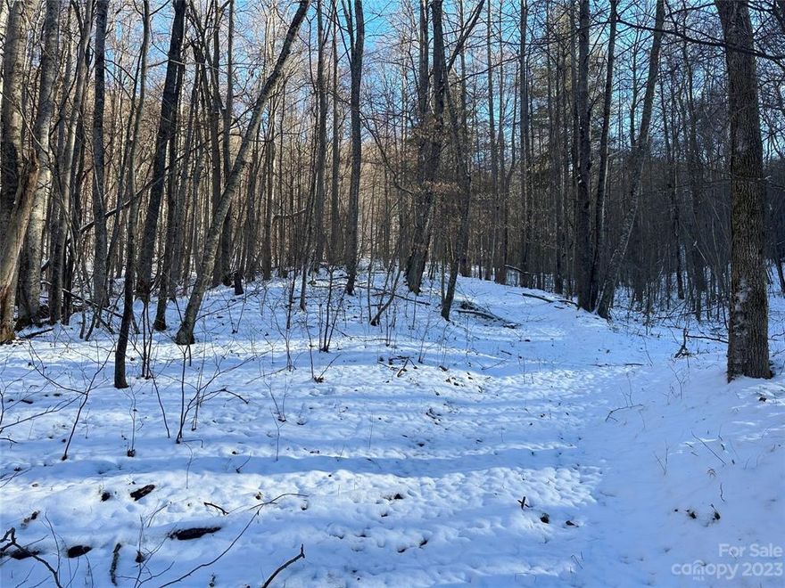 Lovely, gentle wooded acreage offers loads of privacy and solitude while being surrounded by welcoming and engaged neighbors in the Sodom Laurel community of Madison County. This property is all set up for an efficient build - gentle gravel easement road, multiple power poles to draw from, several flat potential home sites, and minimal land disturbance needed to build roads and infrastructure.  There's loads of potential for this special tract - take advantage of the level, south facing potential home sites to build your passive solar cabin. Envision campfires and tent platforms next to the perennial creek running through the property. Get your heart pumping by hiking to your very own ridge line and take in the long range views of this magical place. Minimal deed restrictions include single family, site built homes with an 800sf minimum and a yearly road maintenance fee. Not able to be subdivided. Eight acres to be surveyed from a larger tract - tax value yet to be determined.