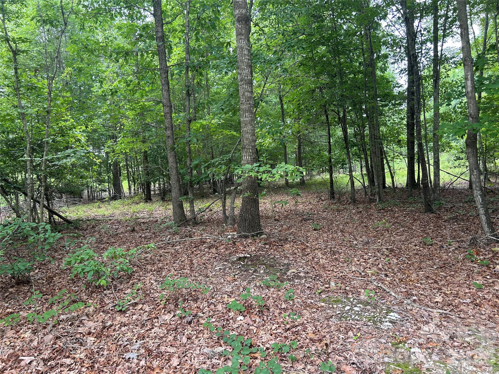 00 Wadeville Road