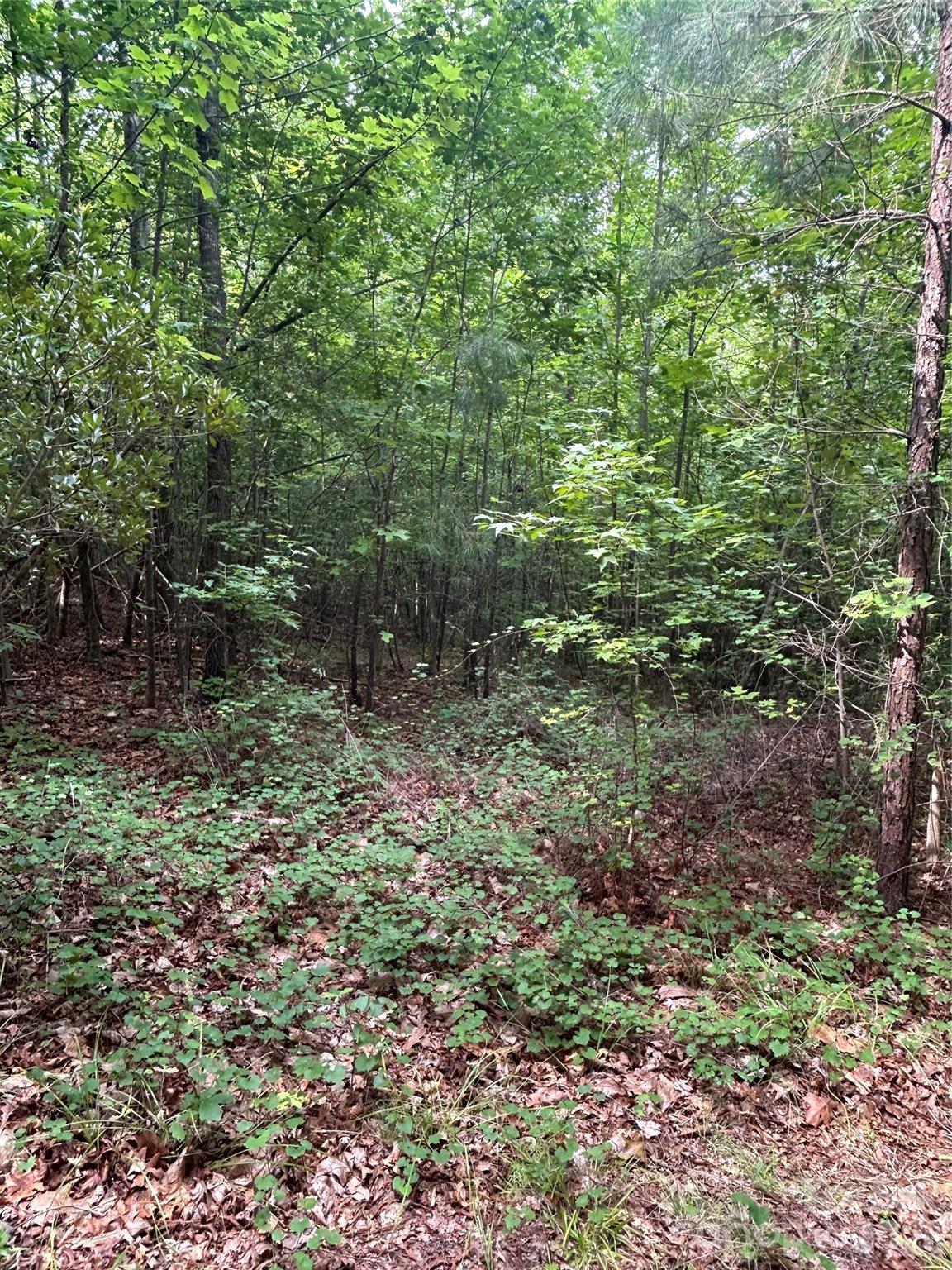 00 Wadeville Road
