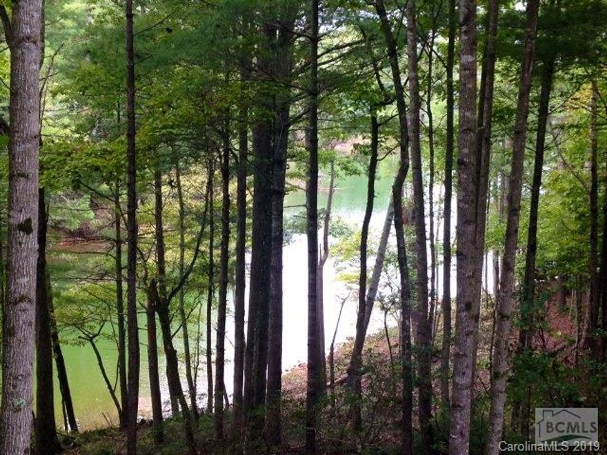 The owners paid $425,000 for this lot. They are now asking $299,000!  This is a fantastic deal.  Waterfront lot, with long range mountain, water and sunset views.  Deep water cove, already has a perc test for a 4 bedroom home. This lot can have a main home and a bunkhouse/detached garage.  This lot comes with a membership to Camp Lake James.  Old Wildlife Club as plenty of hiking trails and beautiful open fields and panoramic views of the surrounding mountains. It also has city water and underground utilities.