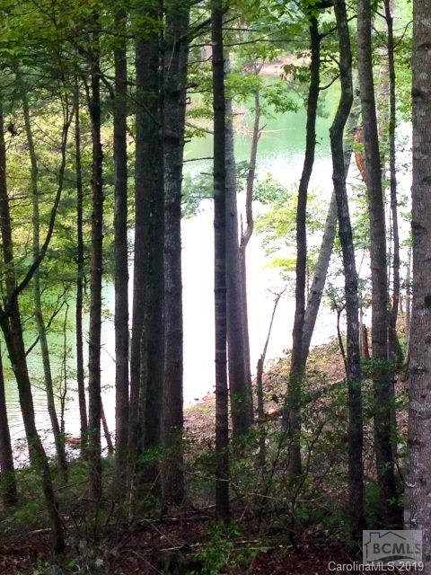 Old Wildlife Club - Commercial Sale