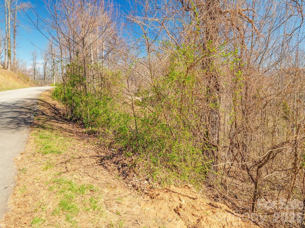 Crest Mountain - Land