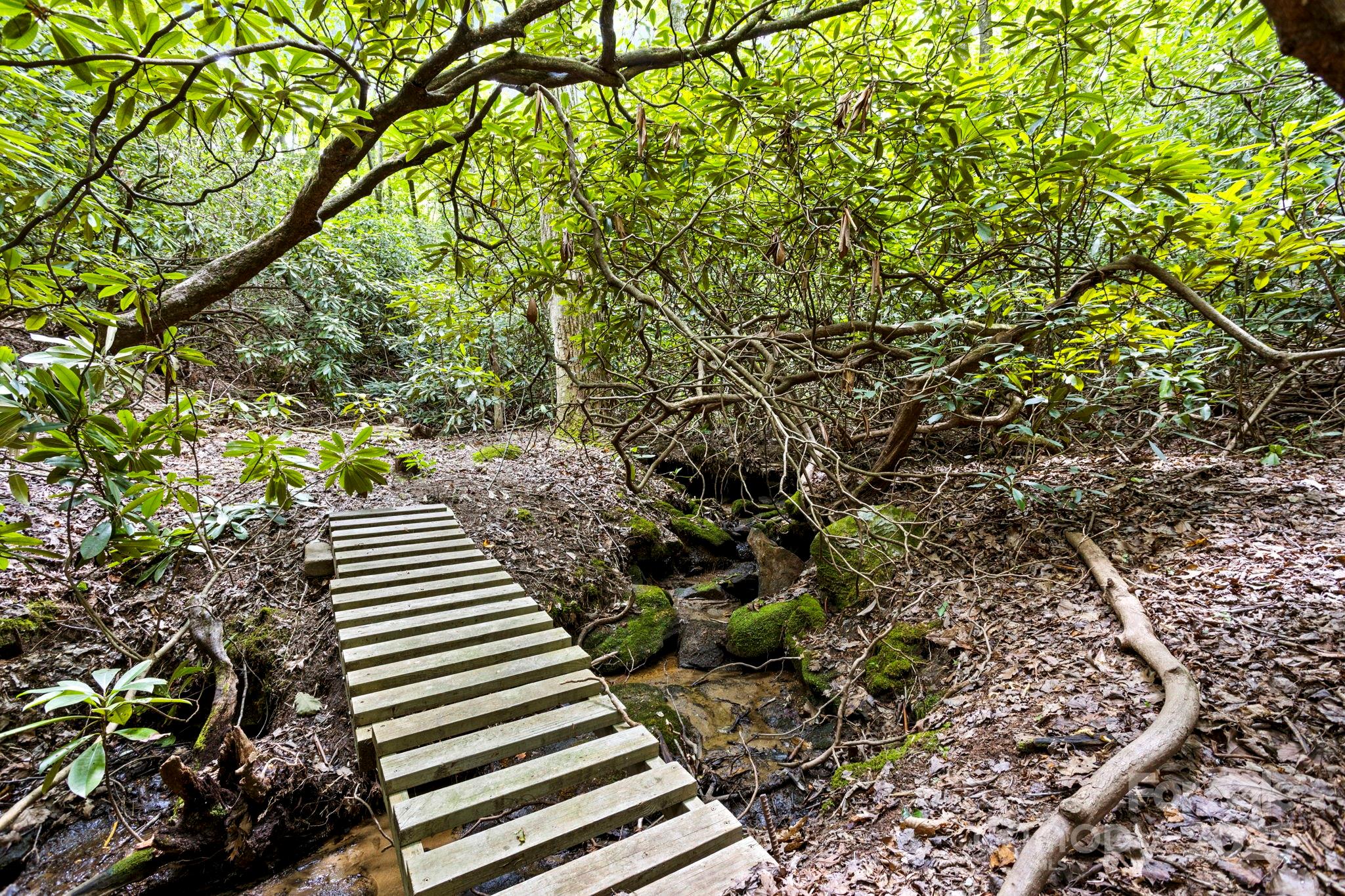 Kenmure - Residential