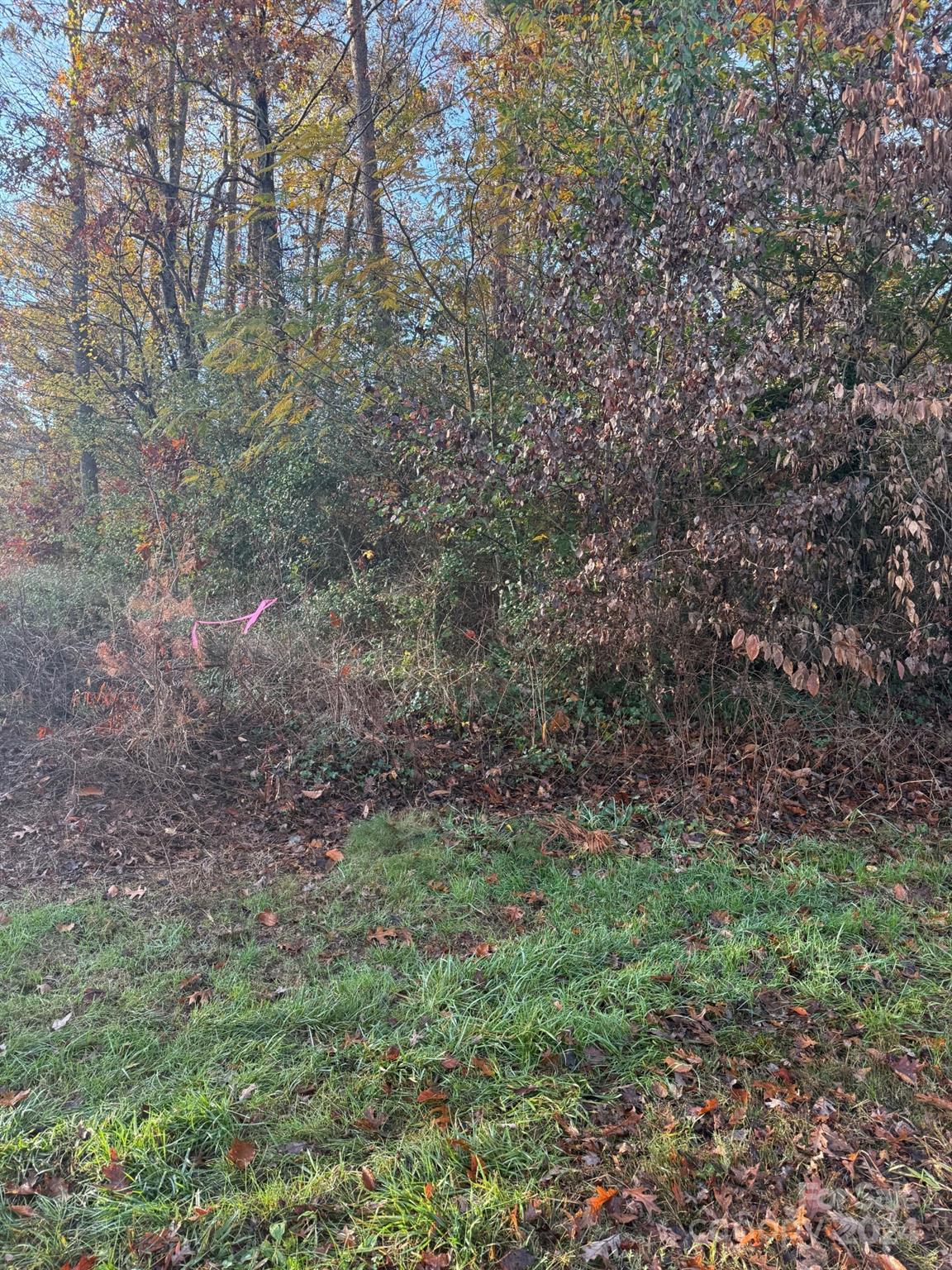 None - Land