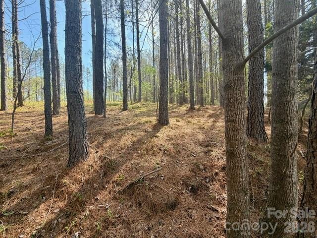 Clearwater Creek - Land