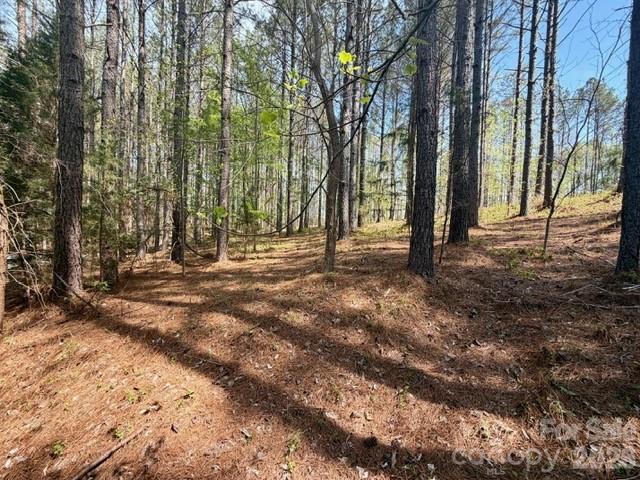 Clearwater Creek - Land