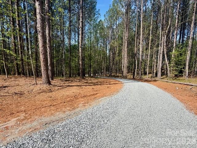 Clearwater Creek - Land