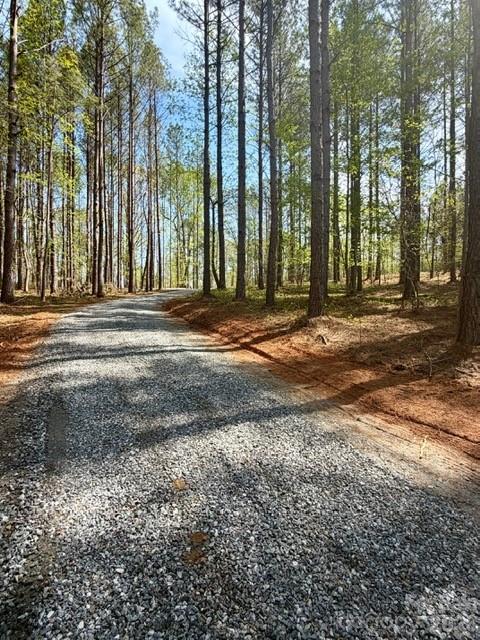 Clearwater Creek - Land