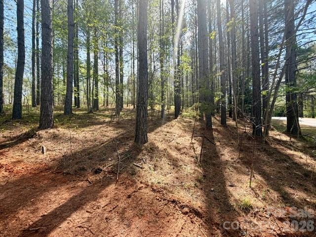 Clearwater Creek - Land