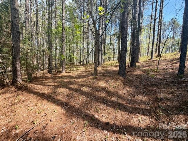 Clearwater Creek - Land