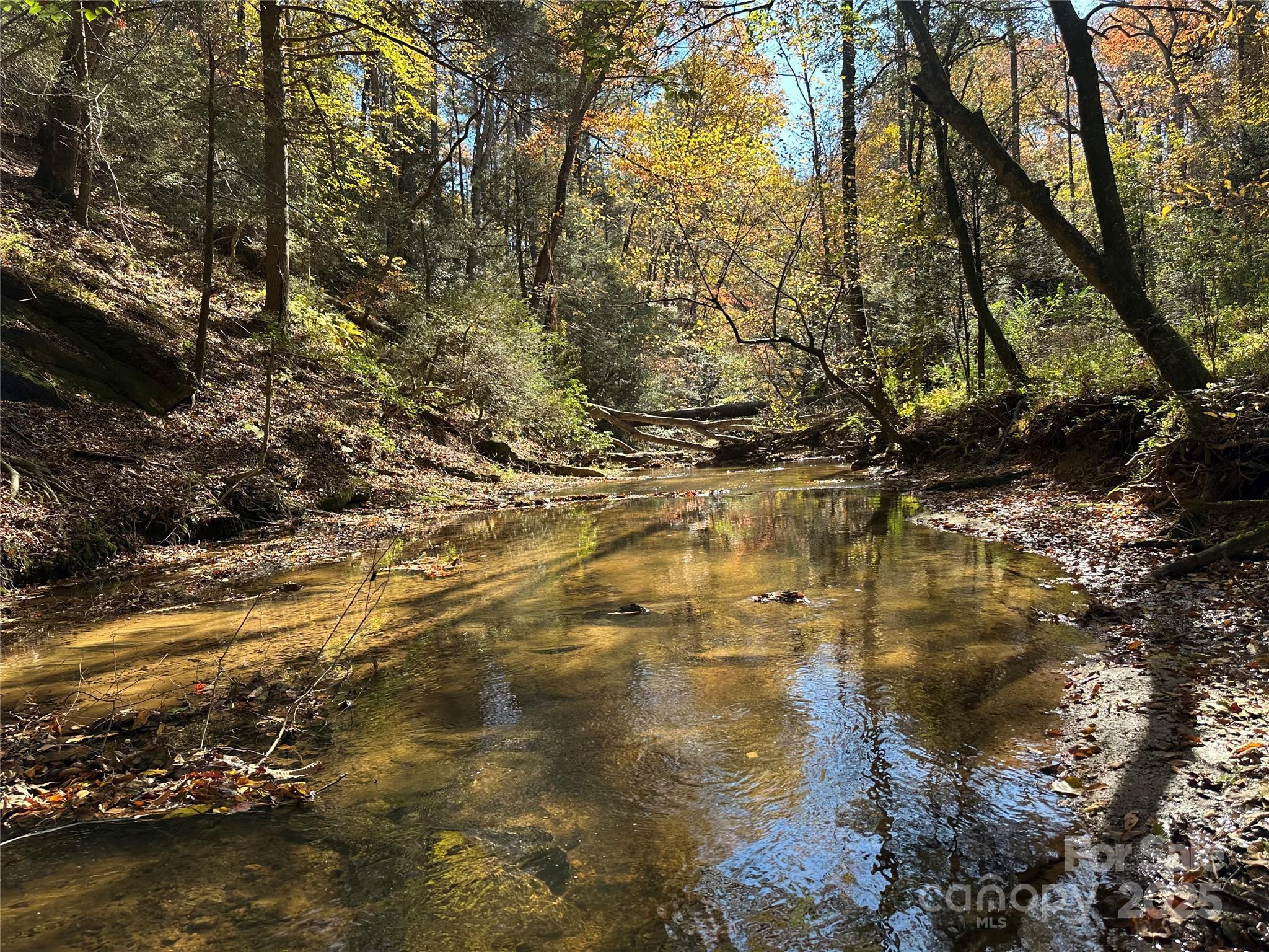 2547 Wiles Ridge Road