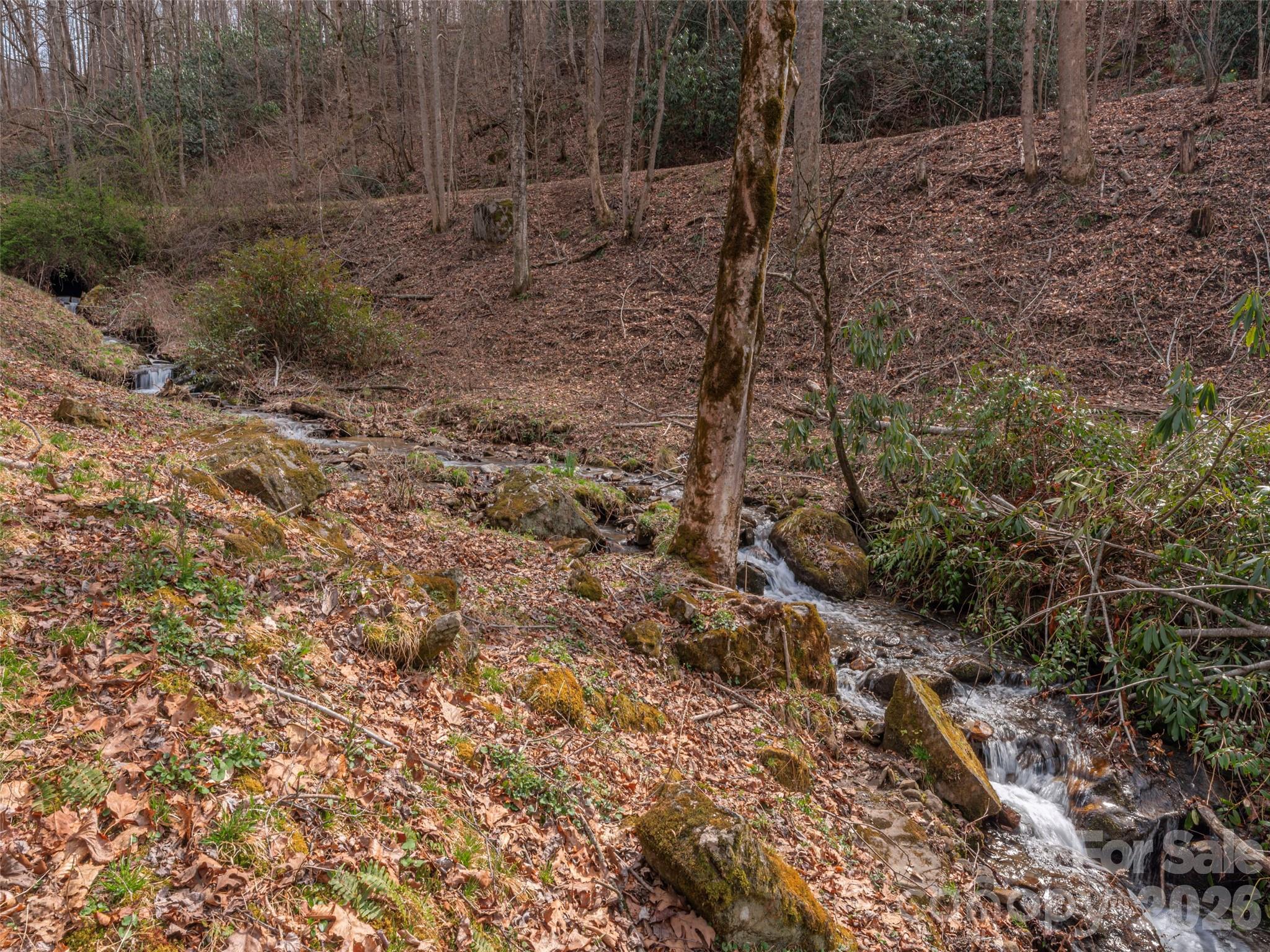 Scotts Creek - Residential