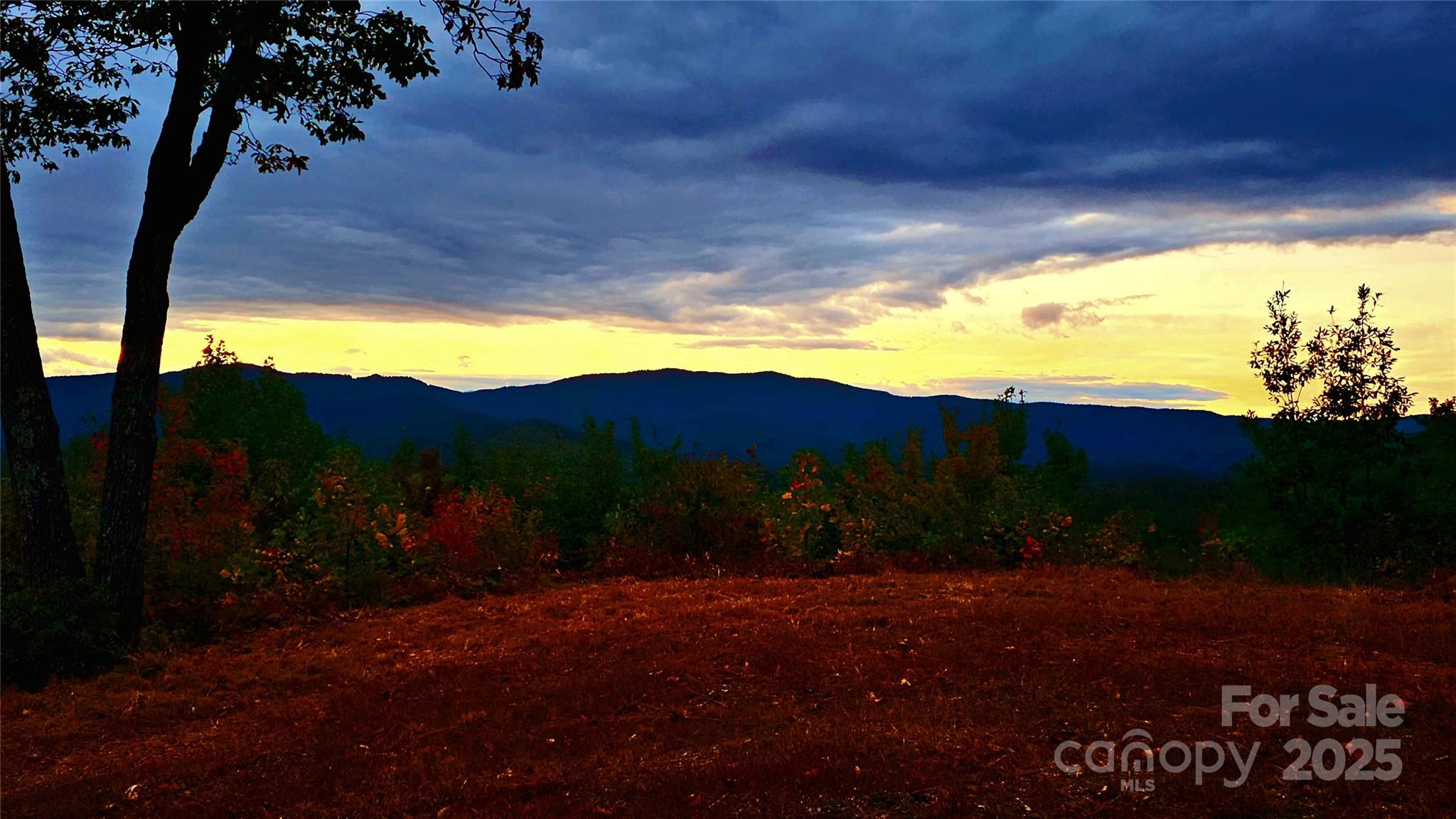 New Forest Mountain - Land