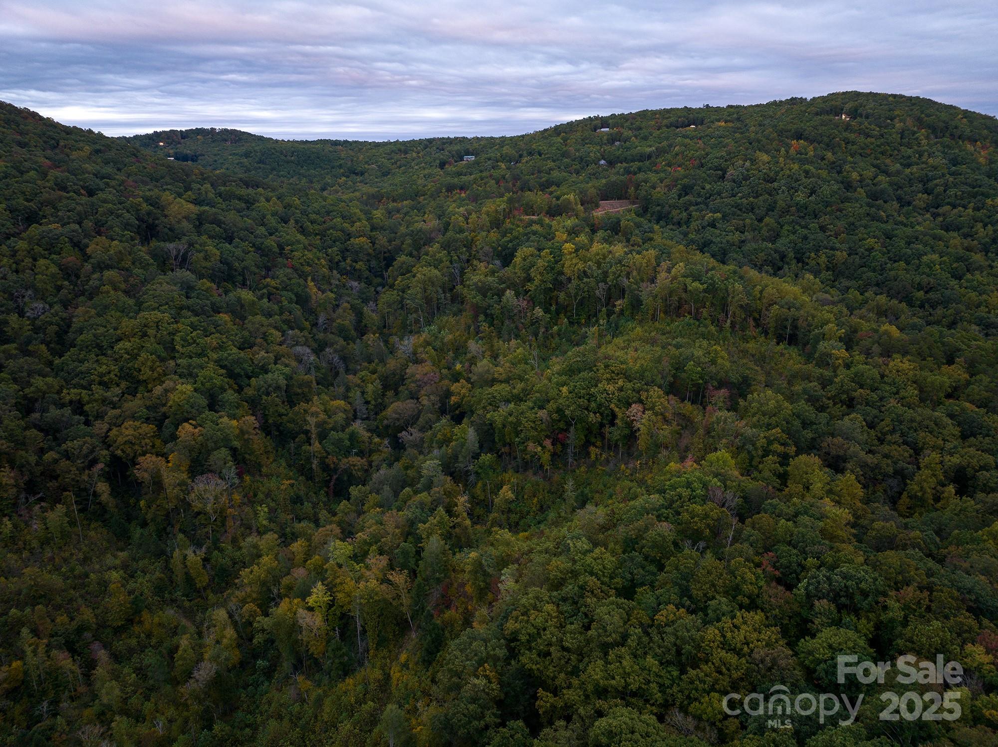 New Forest Mountain - Land