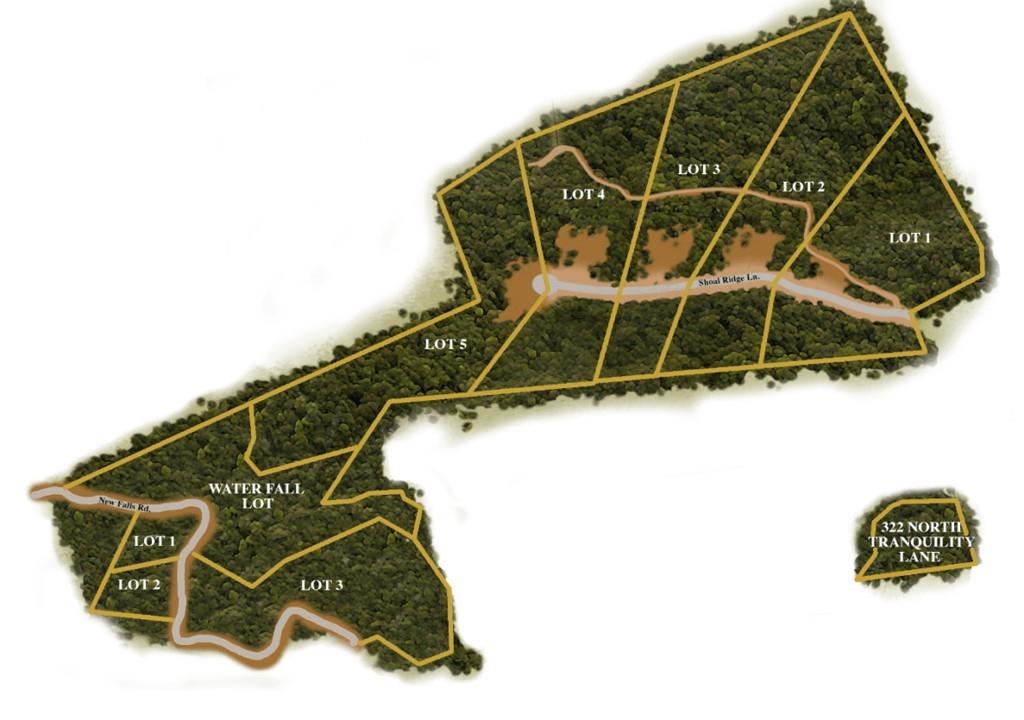 New Forest Mountain - Land