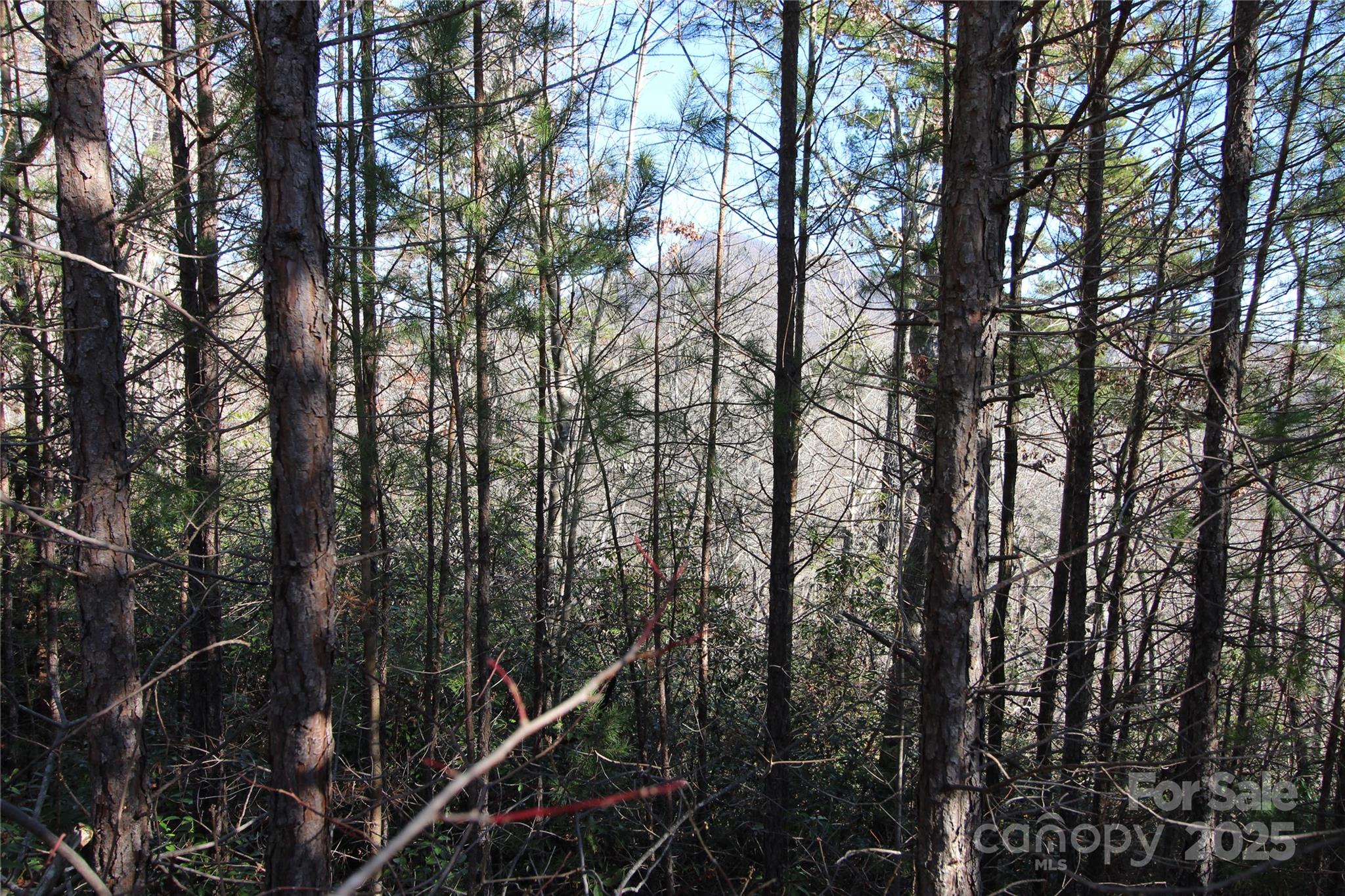 Lots 16 & 18 Highland Heights 16, 18