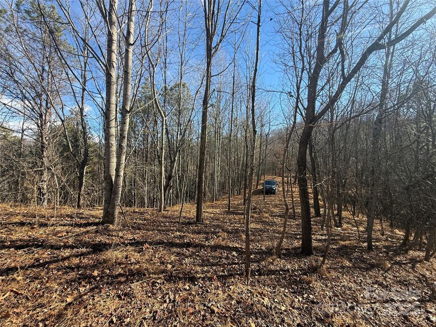 Why do you insist being on the struggle bus?  How long have you been looking for land now?  You're telling yourself I like that property but...  STOP it already!  20 years I've been doing this land biz and these views are the best I've seen.  The ease of build is outragous! What are we really talking about here? Do you think it's just about real estate? I think not ............................................................................................................................"Nothing changes the history of the world more profoundly than changing the landscape of permission and possibility for people — what is possible and permissible for whom in a given culture. And no one has changed the history of the world more profoundly than the people who, with the self-permission to defy the prohibitive dogmas of their time and place, have broadened the horizon of possibility for others; who by some variable of their birth were not allowed or expected to do the thing — the bold thing, the passionate thing, the unreasonable thing — they ended up doing." Maria Popova: The Marginalian  .................................................................................................................

This isn't just land—it's your canvas. Perched on a private knoll overlooking Sandy Mush Valley, this 6-acre retreat offers what most people only dream about: true privacy bordered by conservation land and working farm, plus views that'll make your morning coffee taste better.
Three ready-to-build sites mean options. Whether you're planning a weekend escape, forever home, or investment opportunity, the land speaks first—listen to what it's telling you. Gentle drive up (no white knuckles), new survey complete, 4-bedroom septic approved.
The best part? You're not fighting the topography or forcing a vision. This property wants to work with you. It's rare to find acreage that offers both accessibility and seclusion, multiple building options and protected surroundings.
Fair warning: visiting tends to lead to purchasing. Don't blame us when you start planning your housewarming party before you've even made an offer.
Ready to see what deserves your attention? Contact Hendl Way today.