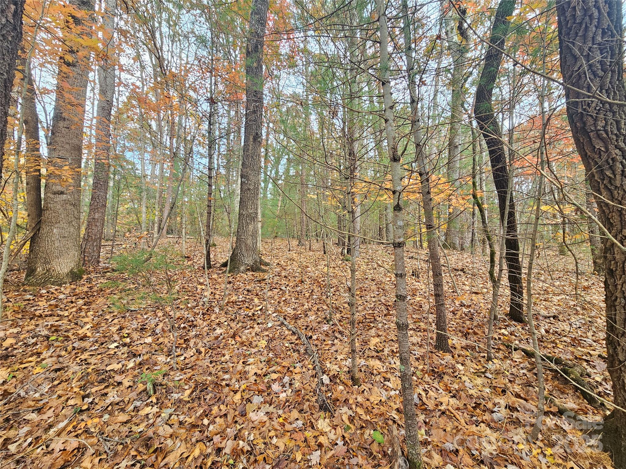 V/L Warlick Chapel Road