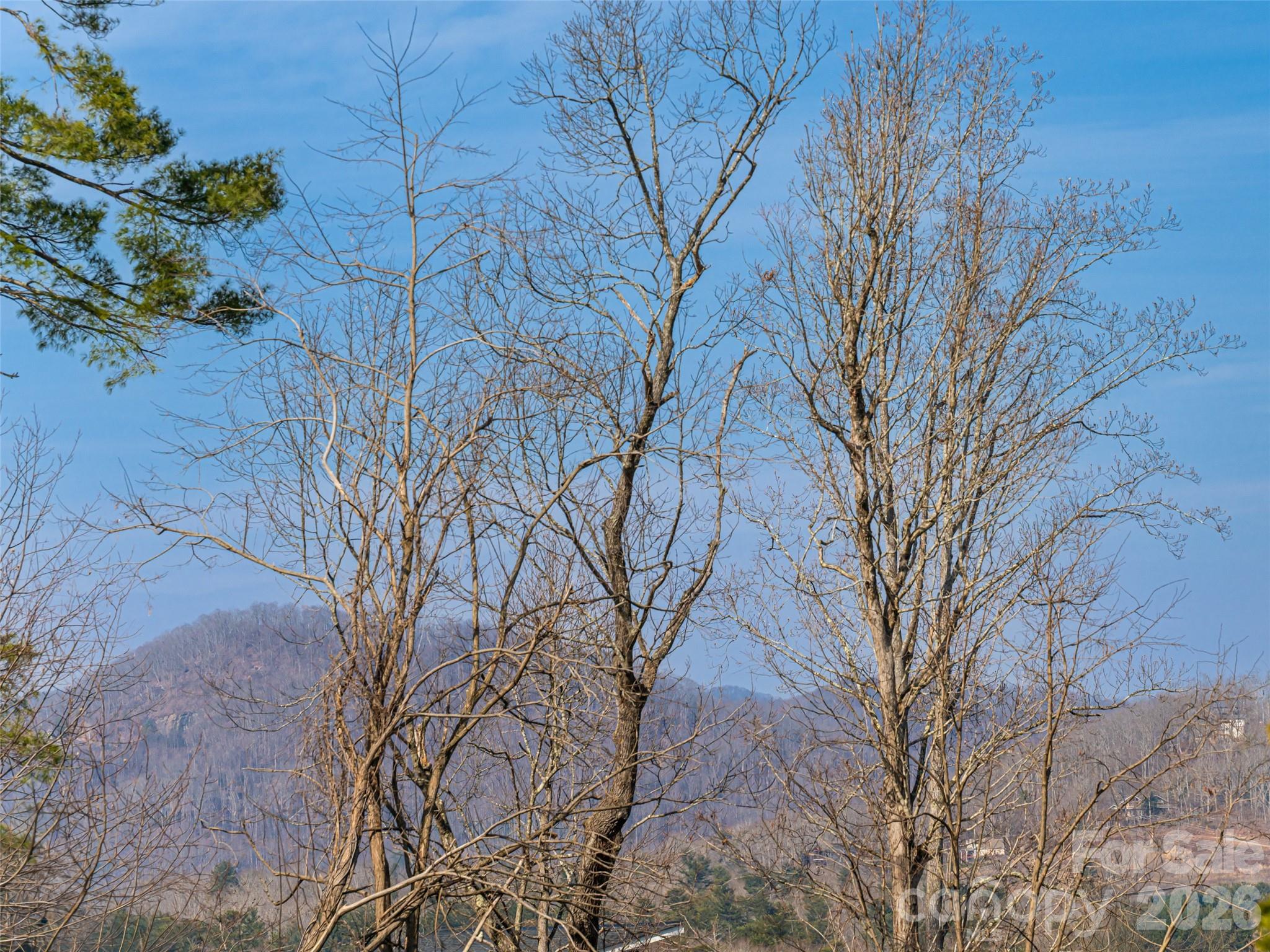 Meadows Of Bradley Branch - Residential