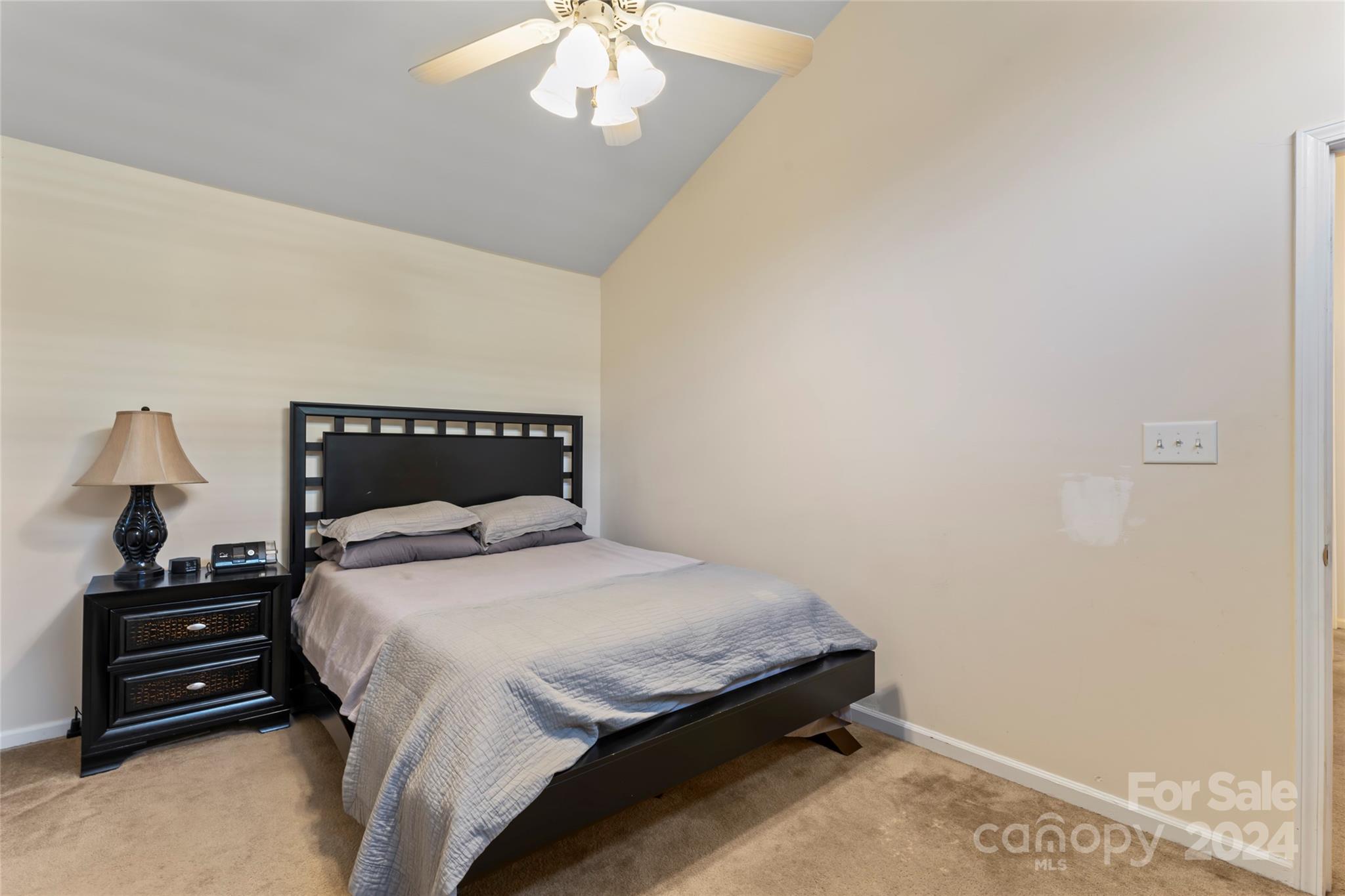 Tega Cay - Residential