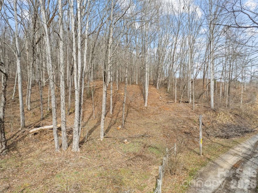 Nestled just outside the charming town of Waynesville, this beautiful 1.1-acre wooded lot offers the perfect blend of privacy and convenience. Featuring easy access and a gentle, build-friendly grade, the property is ideal for creating your dream home or mountain retreat. Enjoy peaceful surroundings while remaining just minutes from shopping, dining, and outdoor recreation. A rare opportunity to own usable land in a highly desirable area of Western North Carolina.