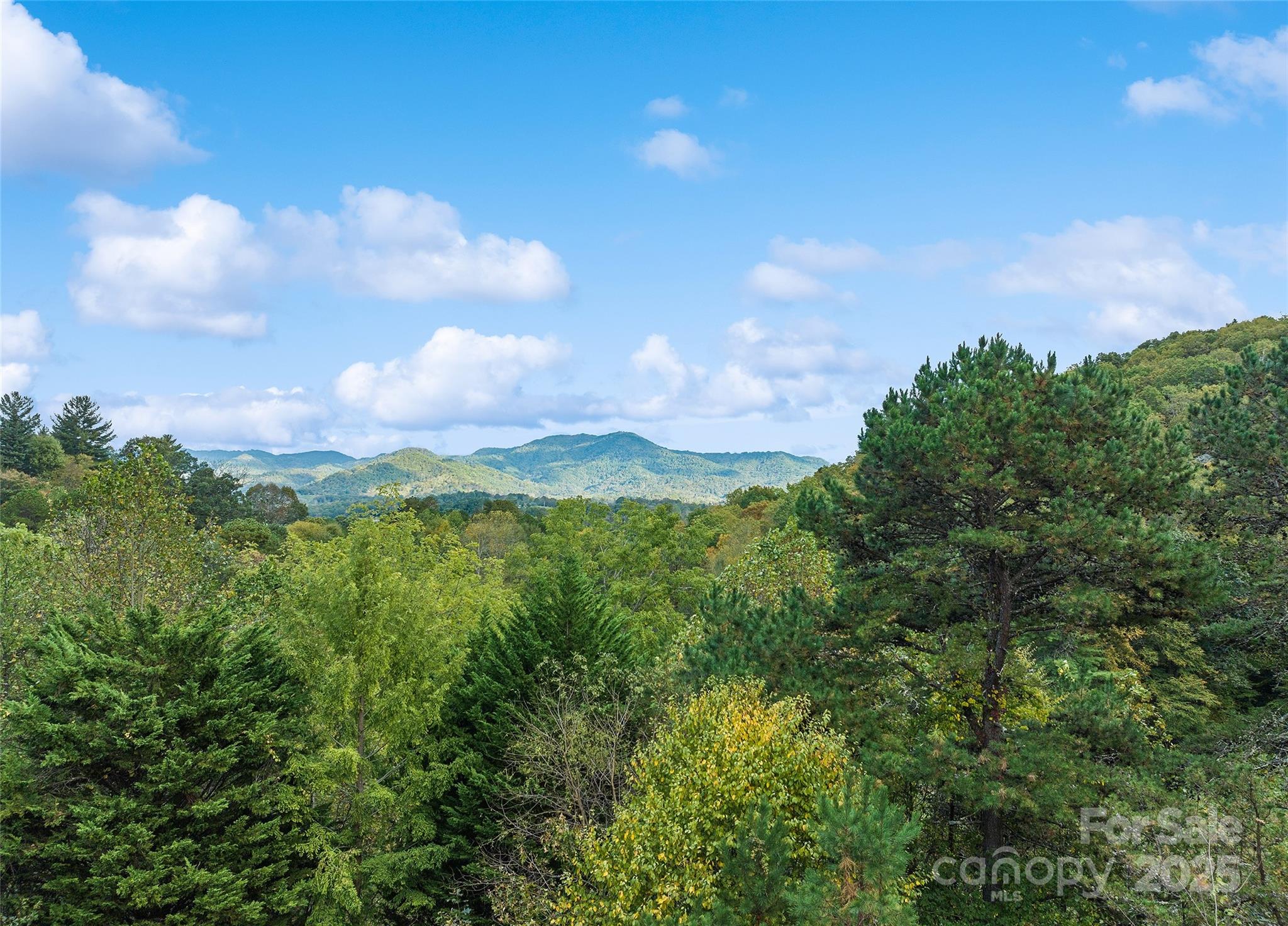 966 Coyote Hollow Road
