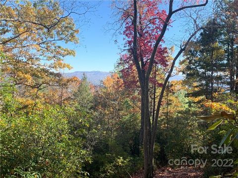 Photo for M25 Elk Mountain Trail
