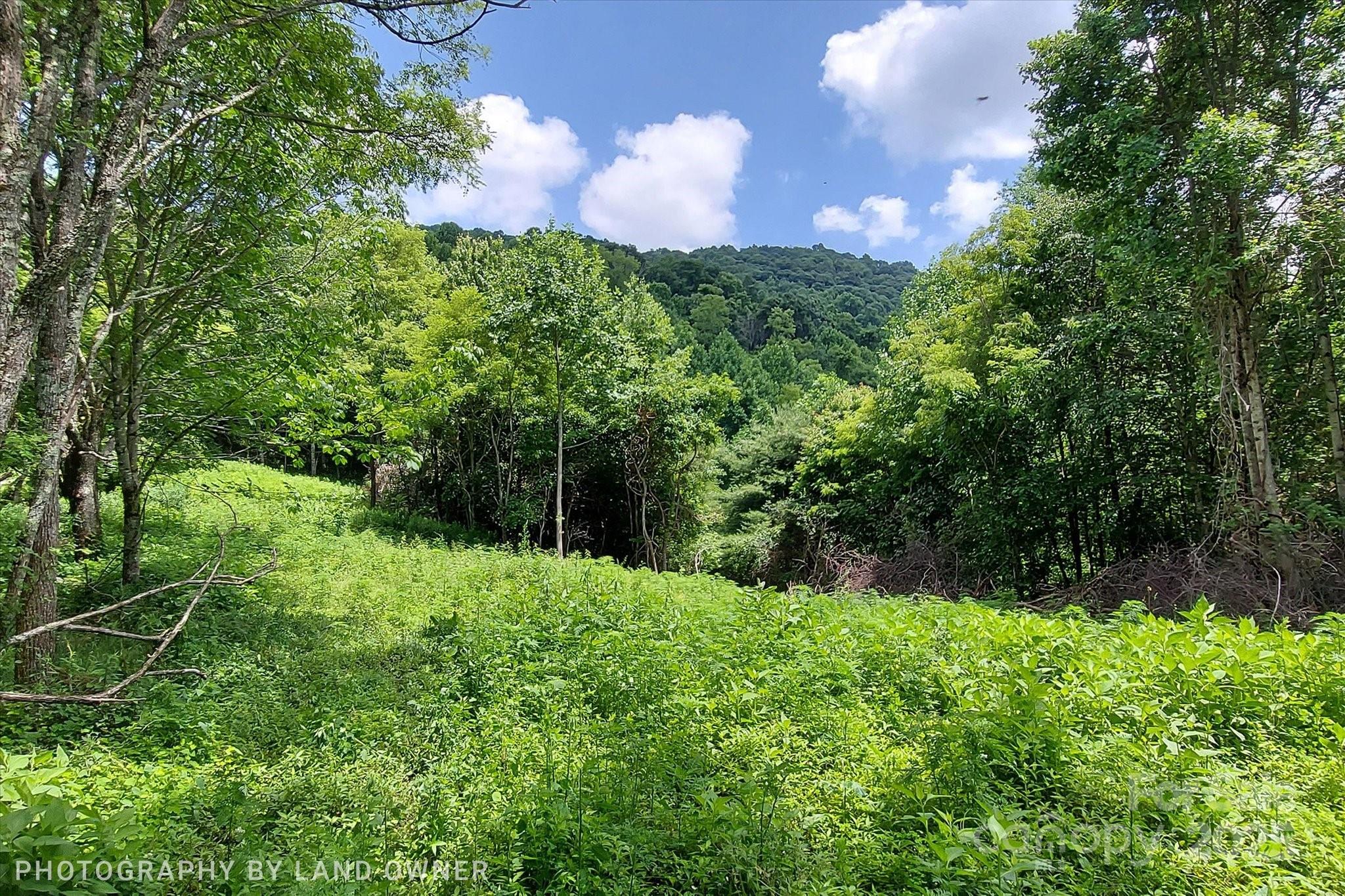 1397 Bee Branch Road