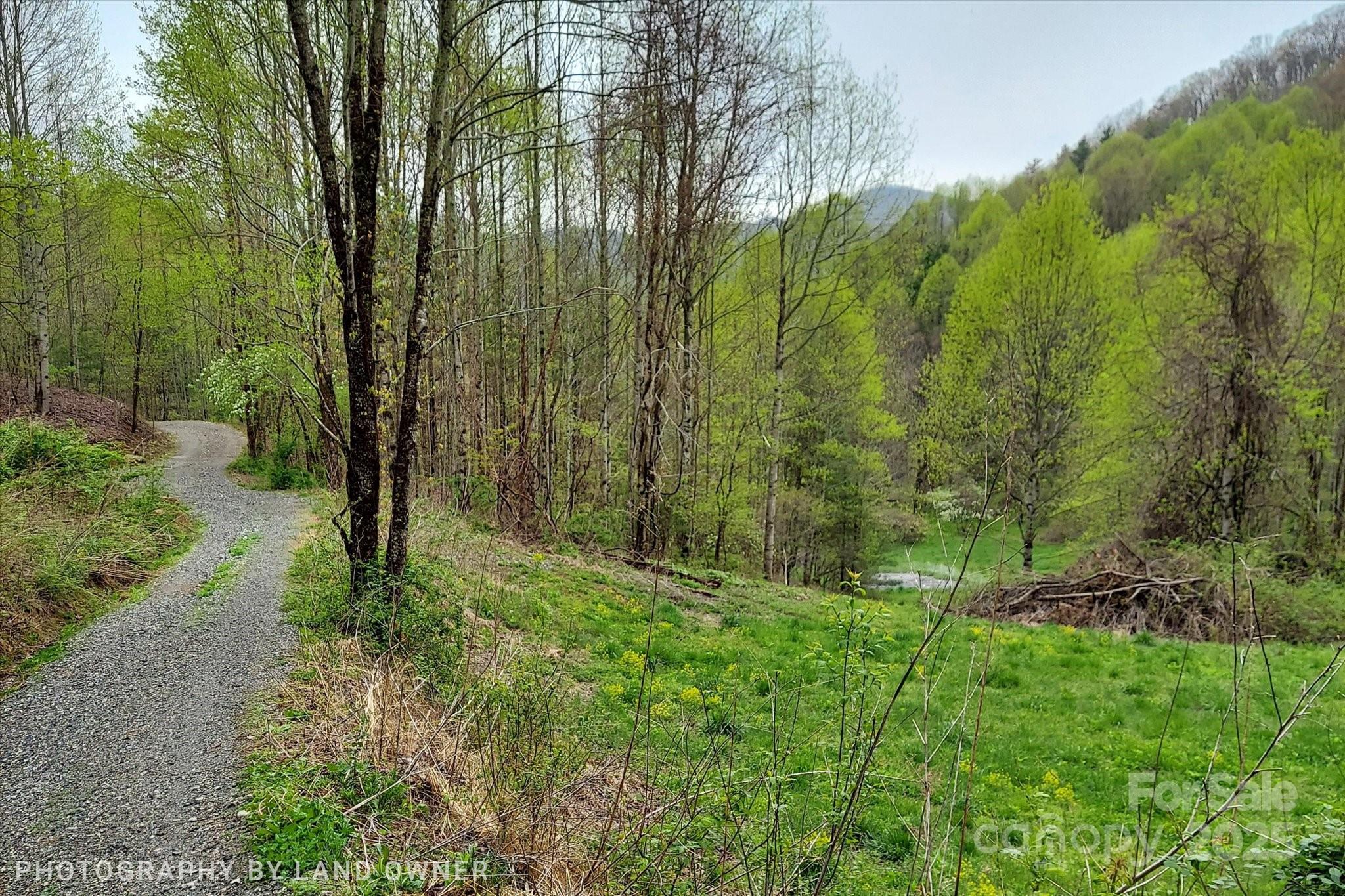 1397 Bee Branch Road