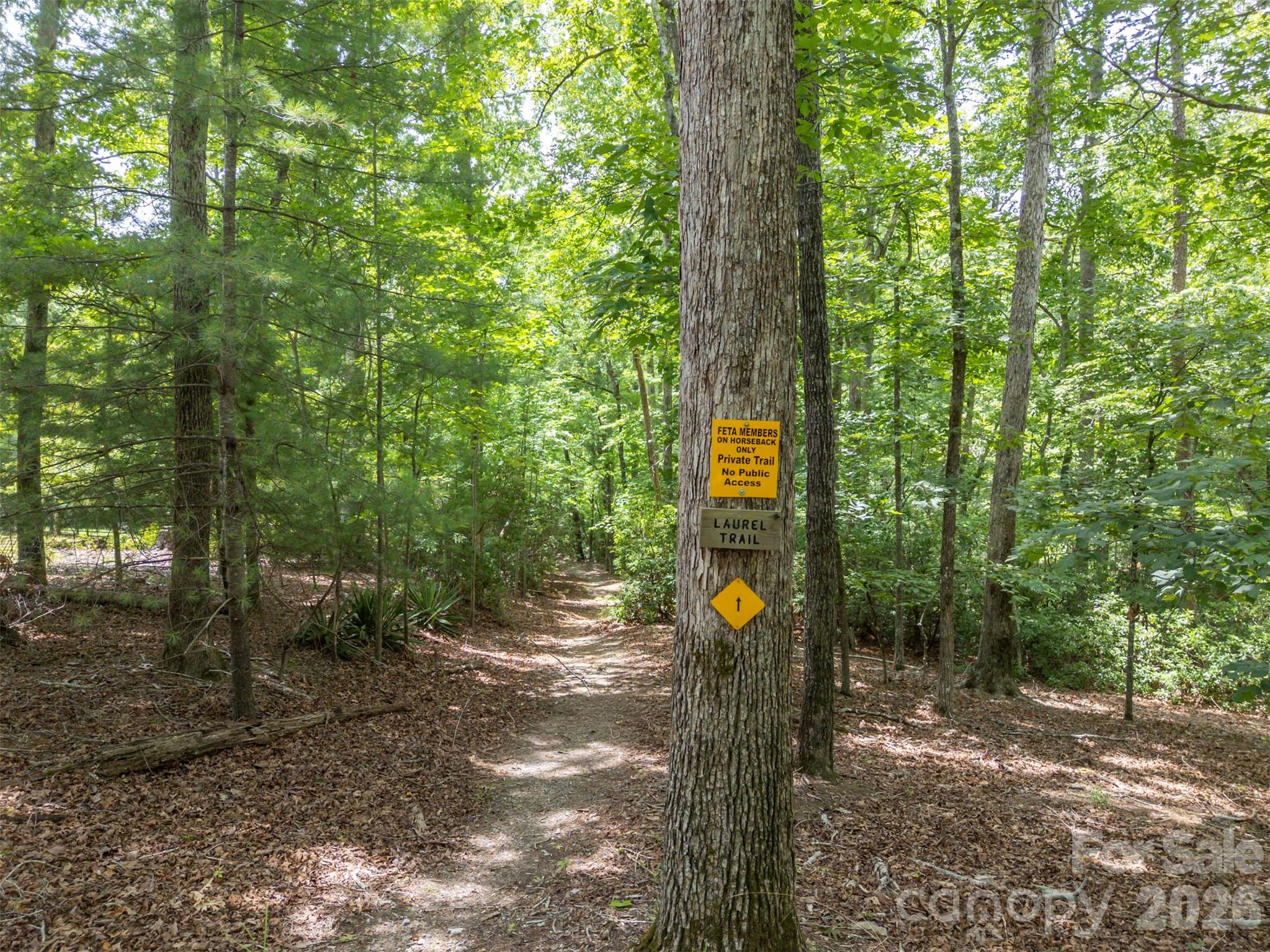 441 Lower Ridgeview Road
