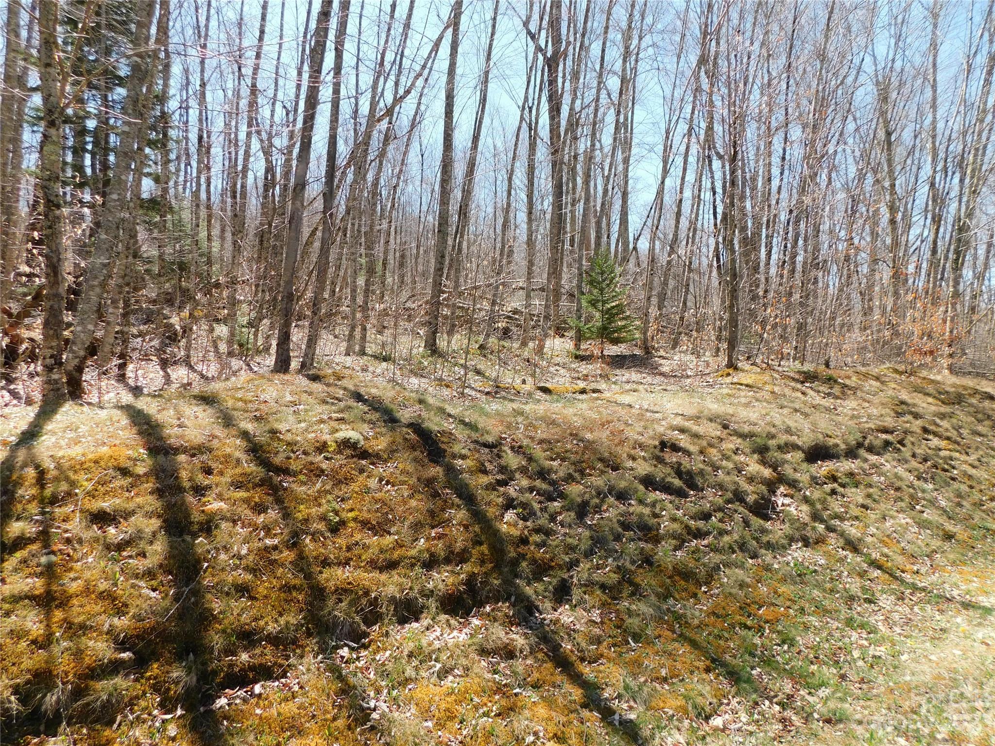 The Village at Grandfather - Land