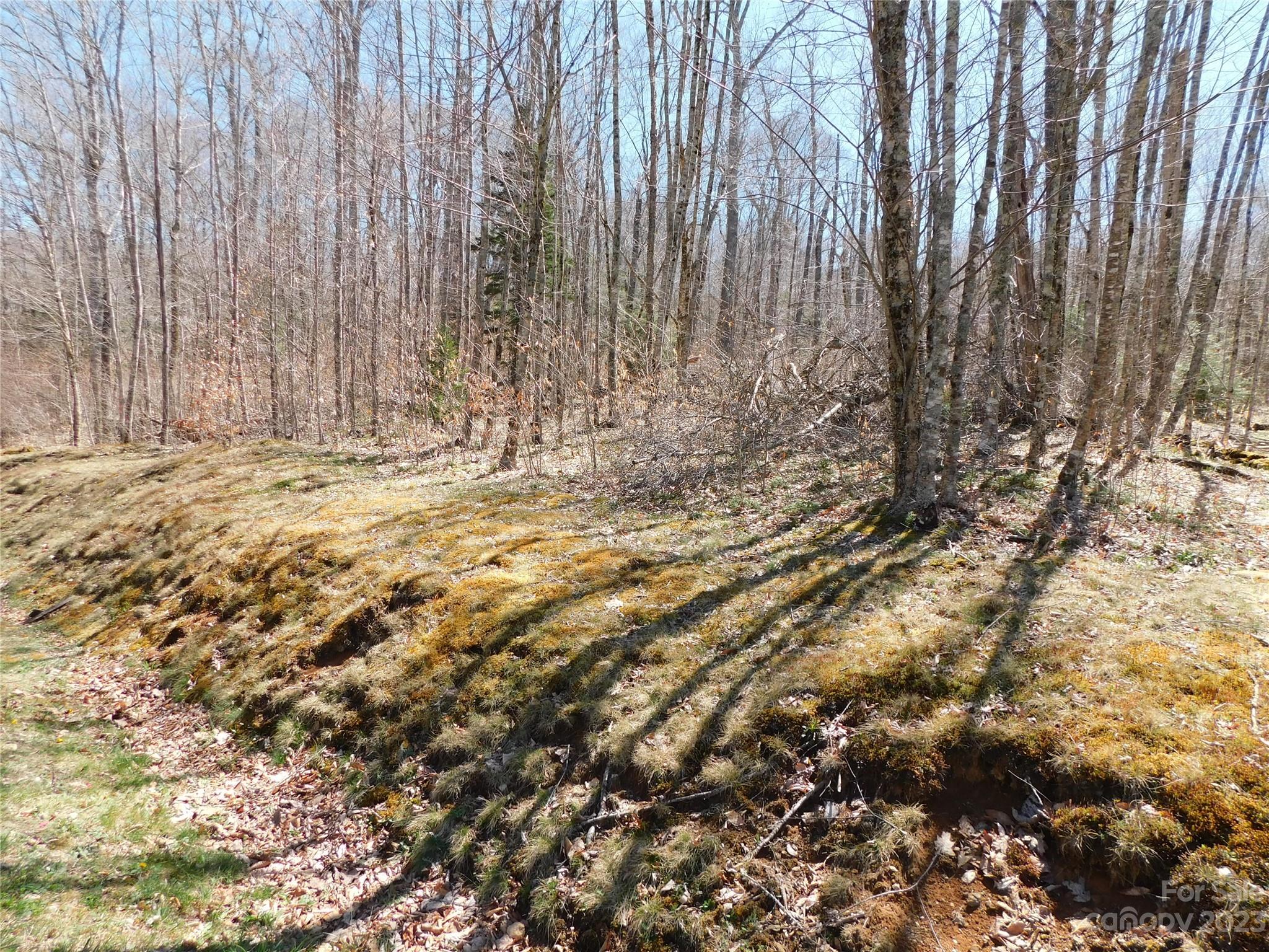 The Village at Grandfather - Land