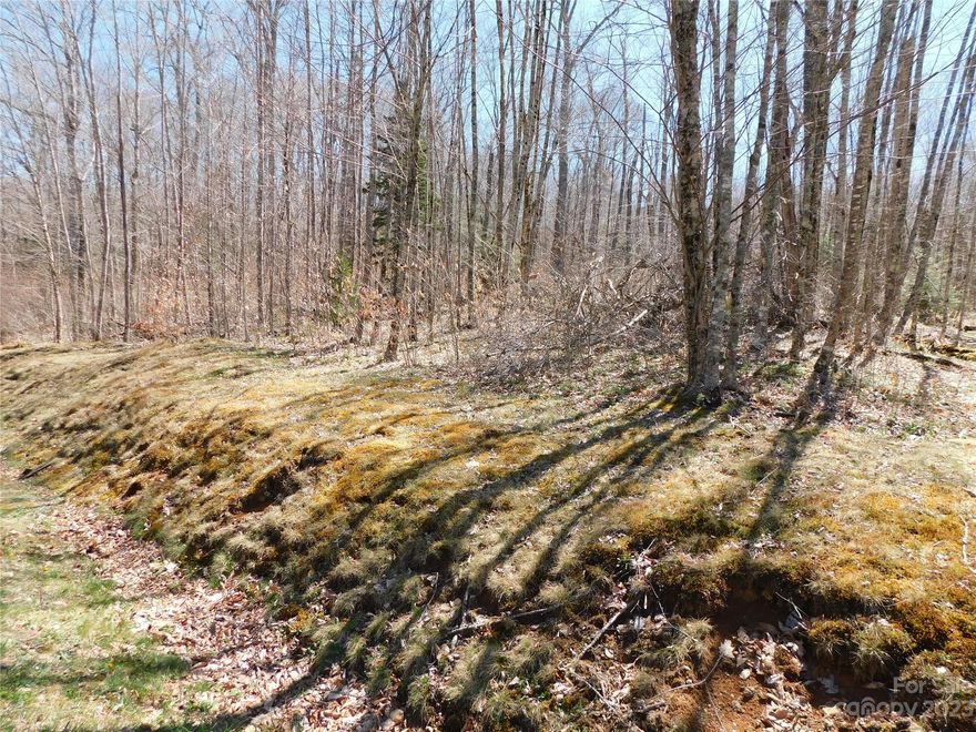 Motivated Seller!! Presenting a stunning, level building lot with seasonal views at The Village at Grandfather. This exceptional property borders the Conservancy land and Grandfather Mountain National Forest, making it truly one in a million. City water and sewer, along with underground utilities, add to its desirability. Conveniently located between Linville and Banner Elk, you'll have easy access to stores, restaurants, shopping, and more. Not to forget, this lot offers the perk of being level, and with the National Forest at its edge, it becomes your backyard playground. For an even larger building site, the adjoining lot is also available, making this a fantastic opportunity. Don't wait, call today to schedule a showing.