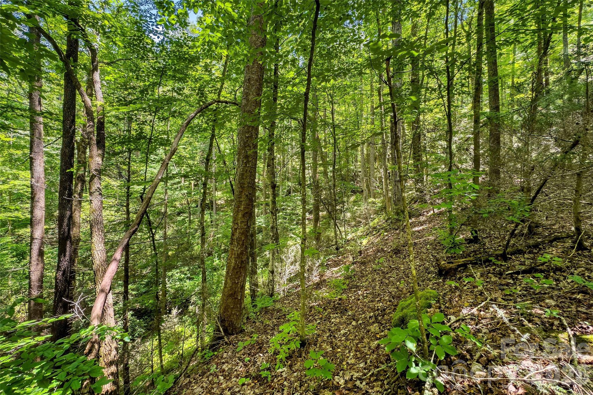 0 Buffalo Creek Road 0