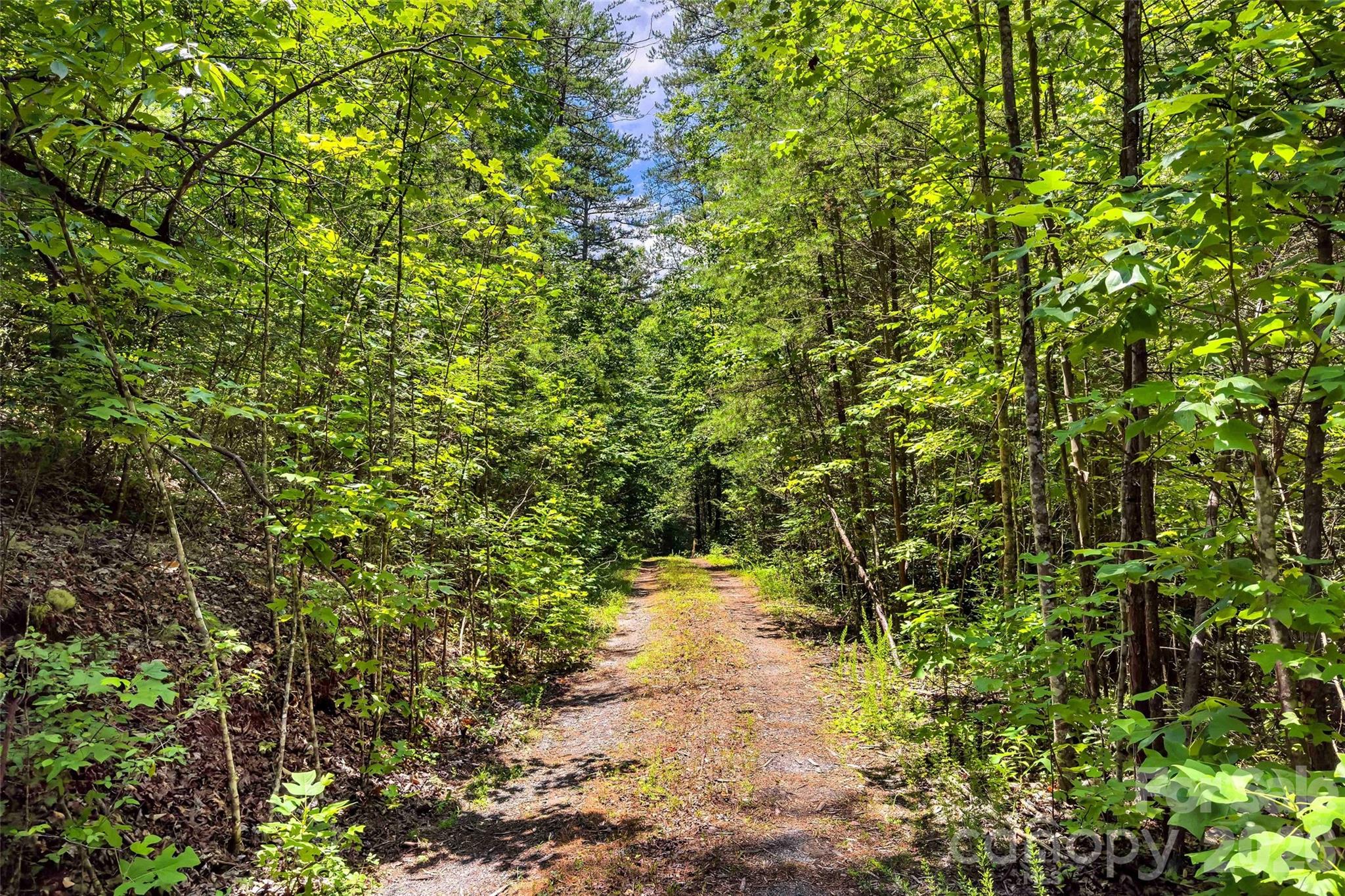 0 Buffalo Creek Road 0