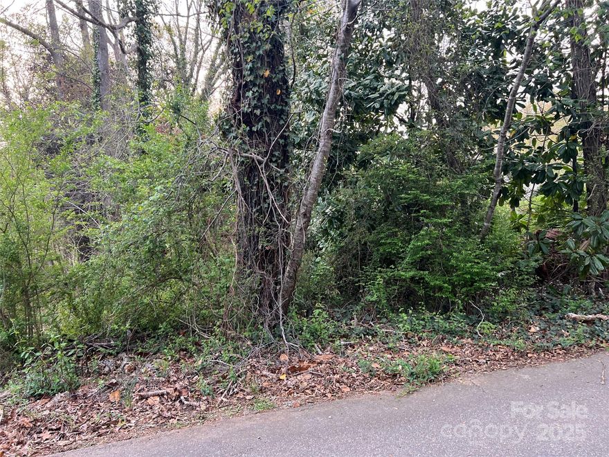 Lot in Spindale within walking distance to downtown & Rails to Trails!  Terrific opportunity to build a house or invest for the future!