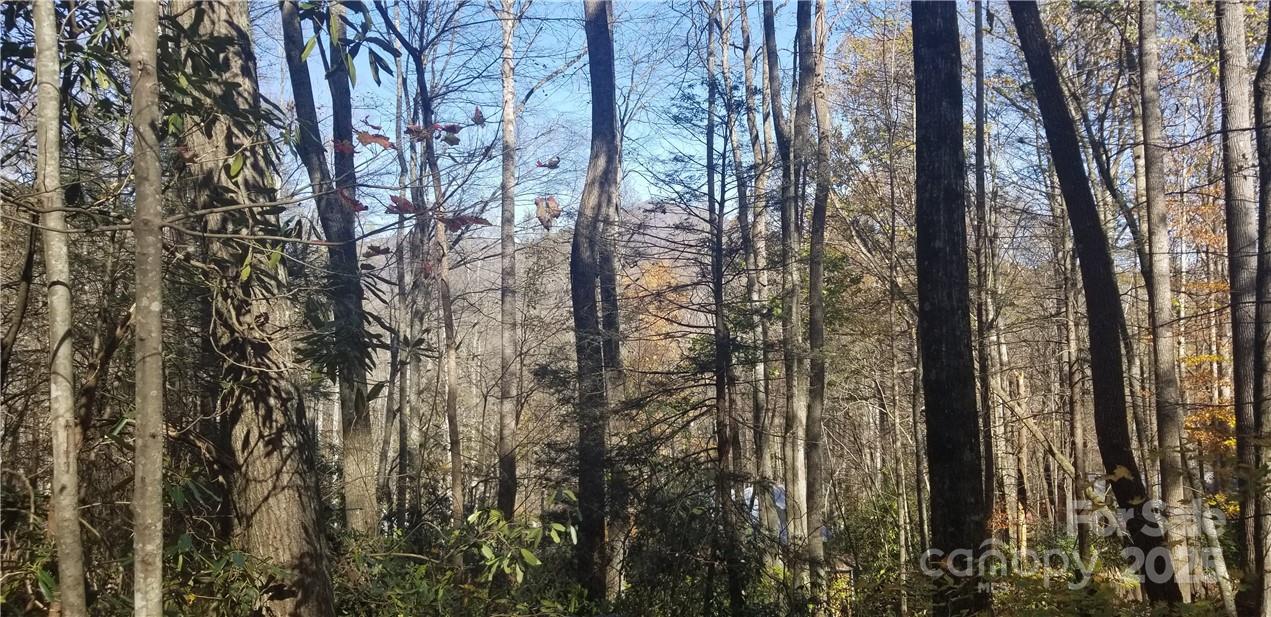 Spring Lake Estates - Land