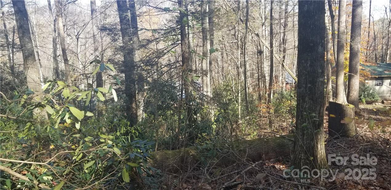 Spring Lake Estates - Land