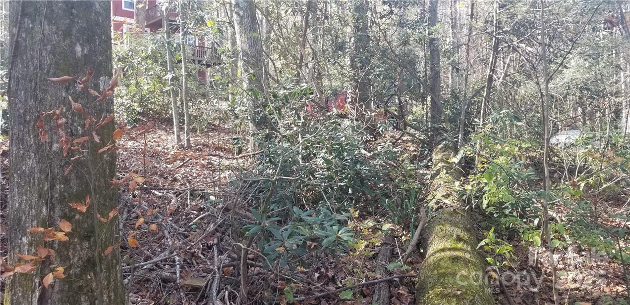 Spring Lake Estates - Land