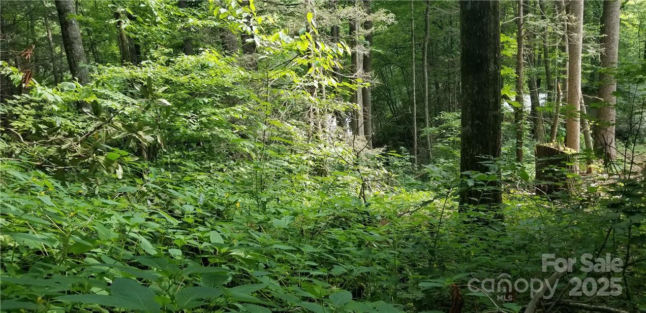 Spring Lake Estates - Land