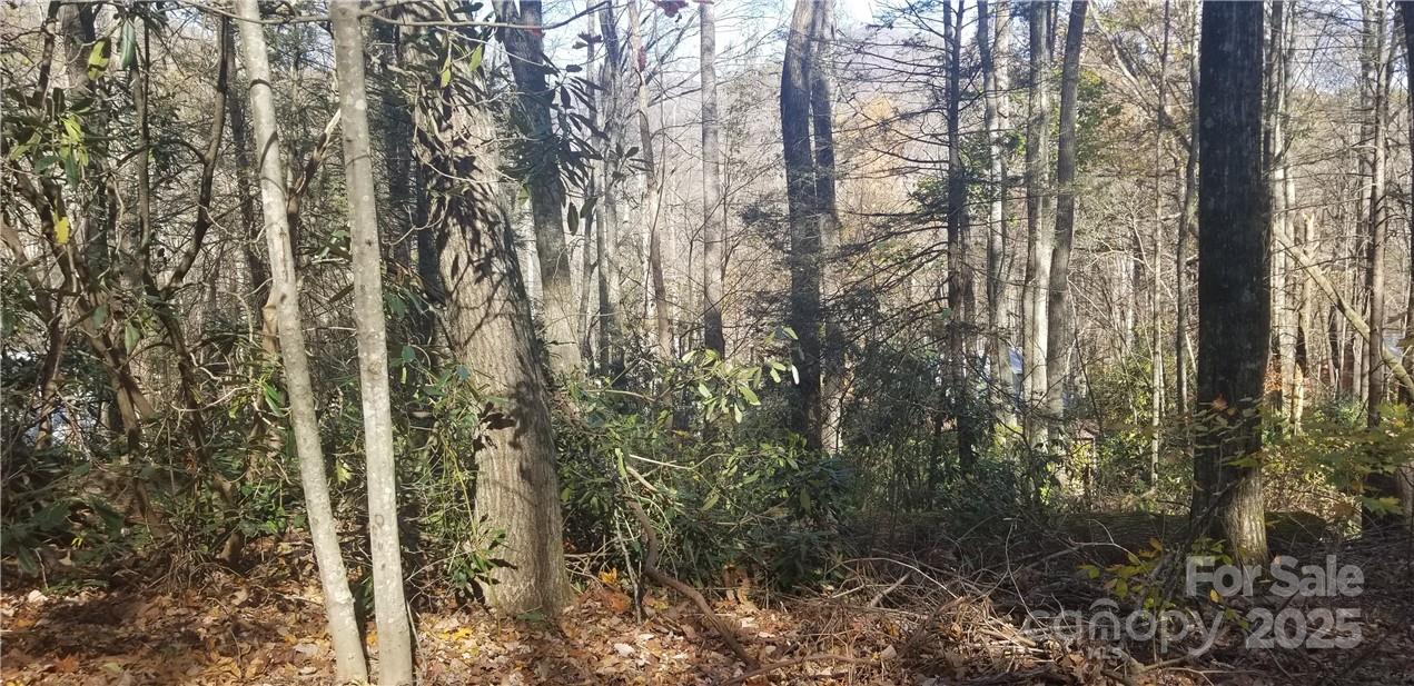 Spring Lake Estates - Land