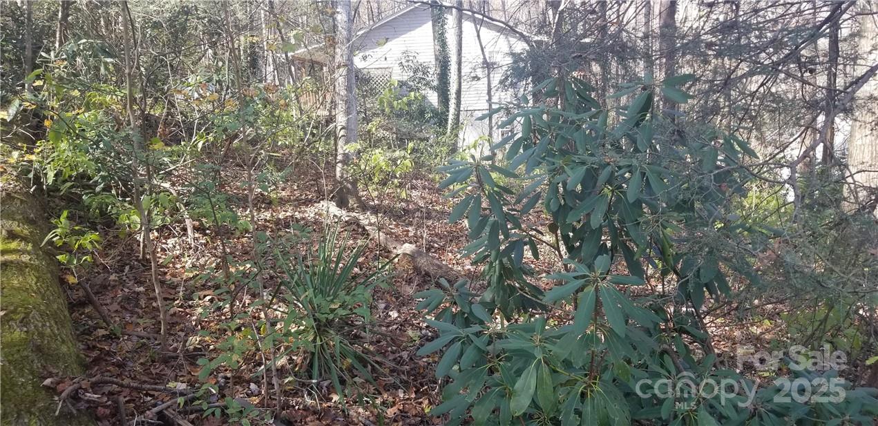 Spring Lake Estates - Land