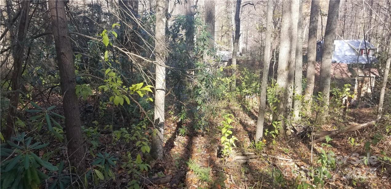 Spring Lake Estates - Land