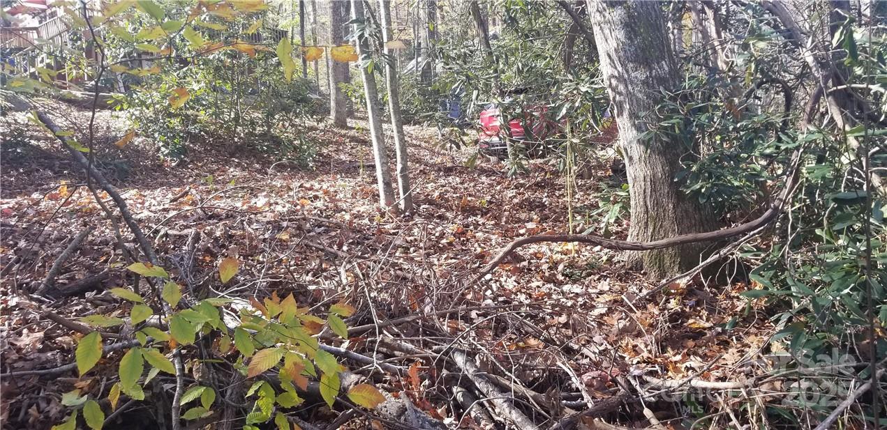 Spring Lake Estates - Land